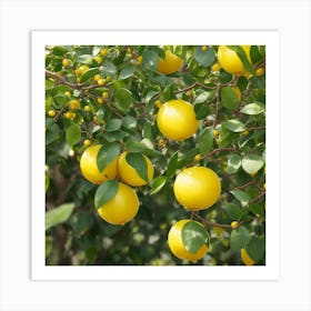 Lemon Tree In The Garden Art Print