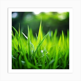 Grass Plant Texture Green Detail Nature Fresh Beautiful Summer Natural Spring Ecology Be (5) Art Print