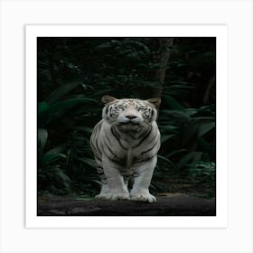 White Tiger In The Jungle Art Print