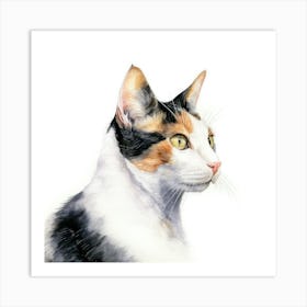 Japanese Bobtail Cat Portrait 2 Art Print