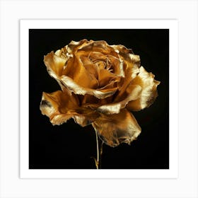 Gold Rose 3 Art Print