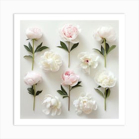 Peonies 1 Art Print