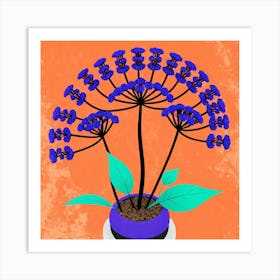 Blue Hydrangea Art Print