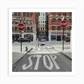 Stop Sign Art Print
