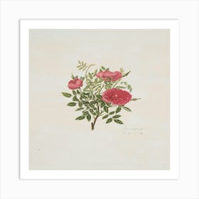 Roses On A Branch Art Print