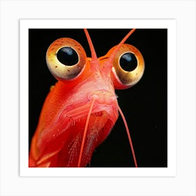 Red Shrimp With Big Eyes Art Print