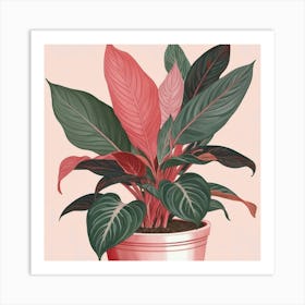 Pink And Red Plant Illustration Chinese Evergreen Art print Art Print