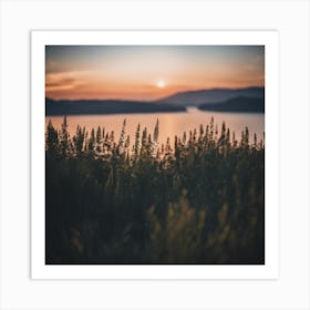 Sunset Over Lake Art Print