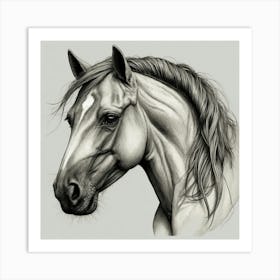 Horse Head Drawing 2 Art Print