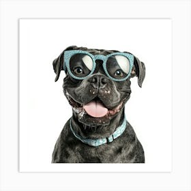 Dog Wearing Sunglasses 5 Art Print