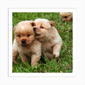 Chihuahua Puppies Art Print