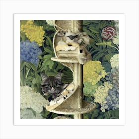 Cat On A Scratching Post Art Print