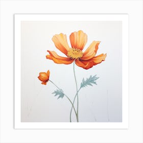 Orange Poppy 1 Art Print