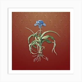 Vintage Iris Scorpiodes Botanical on Falu Red Pattern n.2281 Art Print