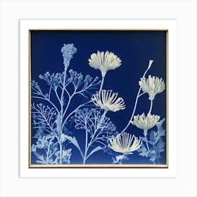 A Gallery Art Photography In Style Anna Atkins Art Print