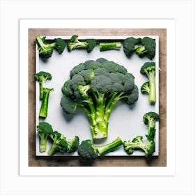 Broccoli In A Frame Art Print