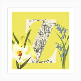 Botanical Z Art Print