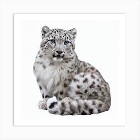 Snow Leopard 1 Art Print