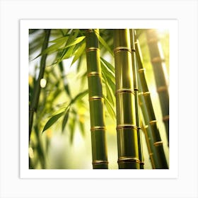 Bamboo Trees Art Print