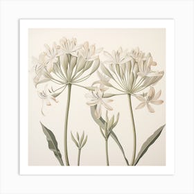 Botanical Print Art Print