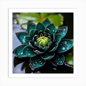 Lotus Flower 5 Art Print