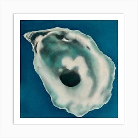 Oyster Shell 2 Art Print