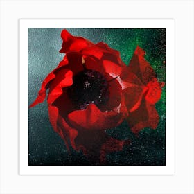 Poppy Madness Original Photography Art Print