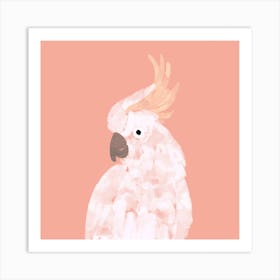 fly 1 Art Print