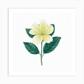 Yellow Clematis Art Print