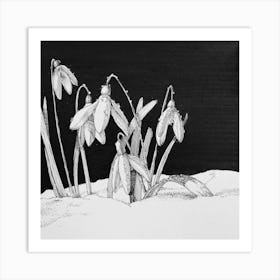 Snowdrops Art Print