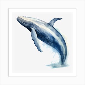 Humpback Whale Art Print