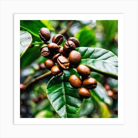 Coffee Beans On A Tree 28 Art Print