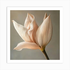 Lily Of The Valley 2 Art Print