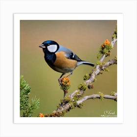 Tit on branch 32 Art Print