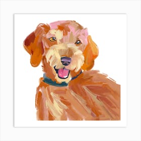 Labradoodle 04 Art Print