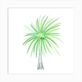 Palm Tree Art Print