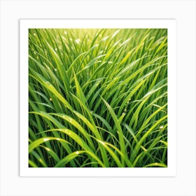 Green Grass Background 33 Art Print