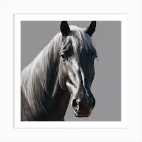 Black Horse Art Print