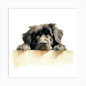 Dog Peeking Over The Fence 10 Art Print