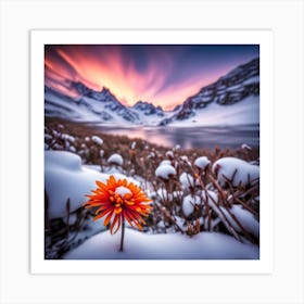 Flower In The Snow Art Print