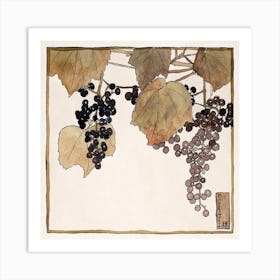 Frost Grape (1915), Hannah Borger Overbeck Art Print