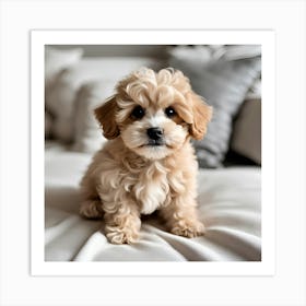 Cute dog Art Print