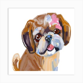 Shih Tzu 02 Art Print