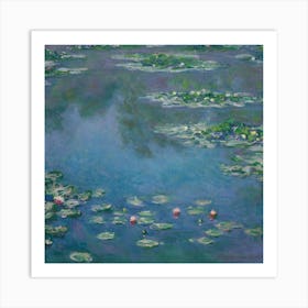 Water Lilies 17 Art Print