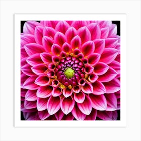 Vibrant pink dahlia flower 3 Art Print