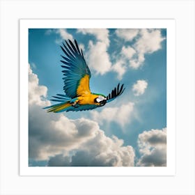 Parrot In Flight 3 Art Print