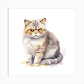 Scottish Fold Shorthair Cat Portrait Art Print