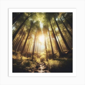 Photograph - Stream In A Forest Art Print