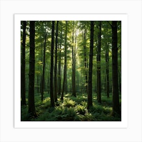 Ferns In The Forest 1 Art Print