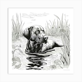 Labrador Retriever In Water Art Print